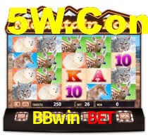 BBwin Bet: Seu Especialista em Apostas Esportivas Brasileiras